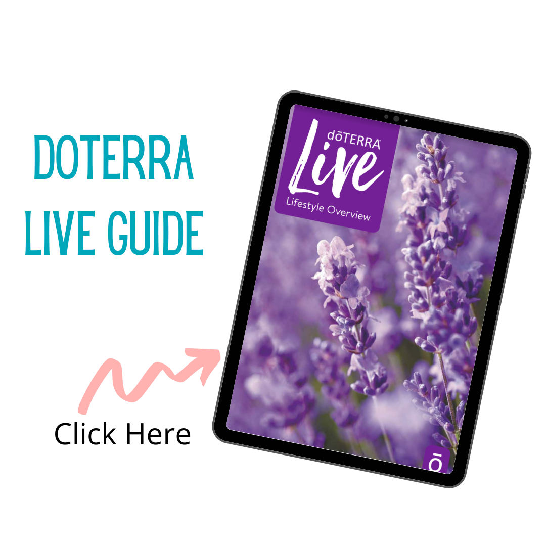 Live Guide